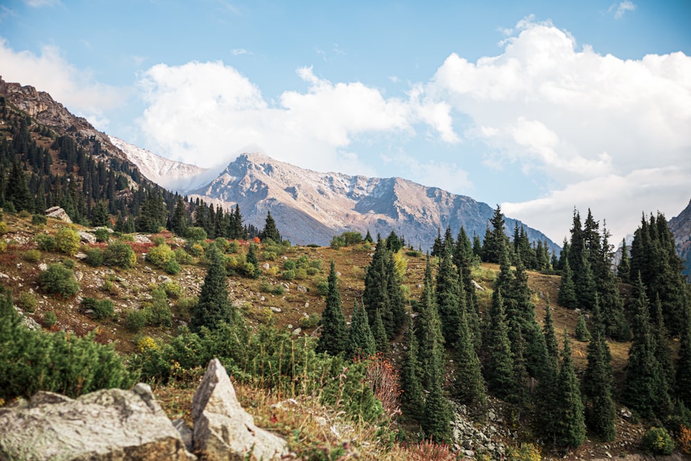 a view of a mountain range with trees and rocks