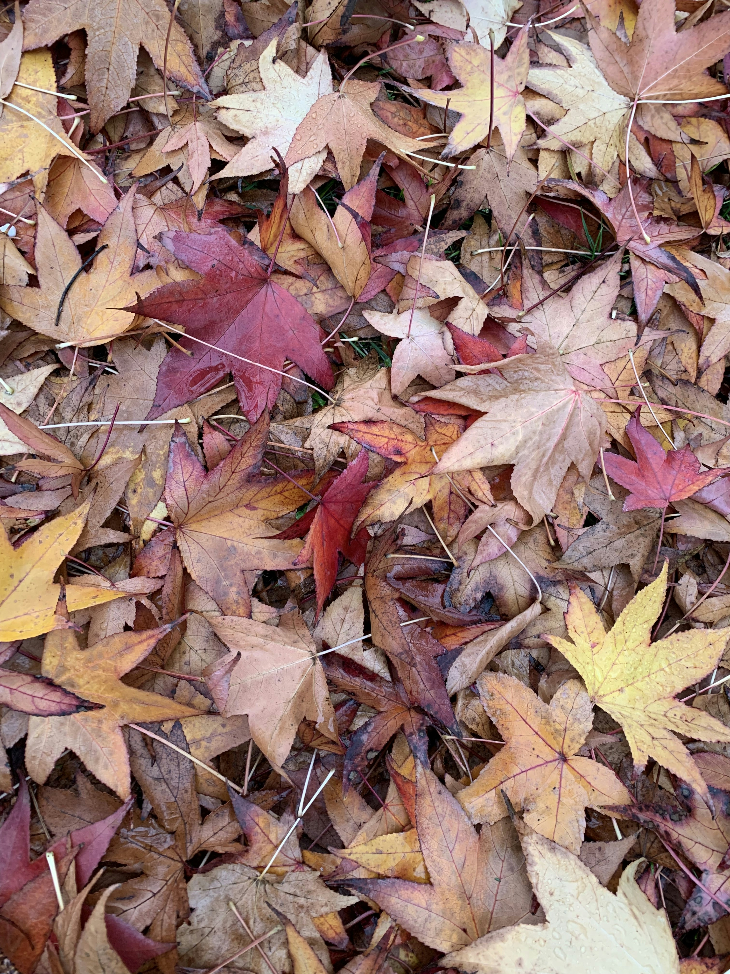 Photo by iamdebrawithouth_h