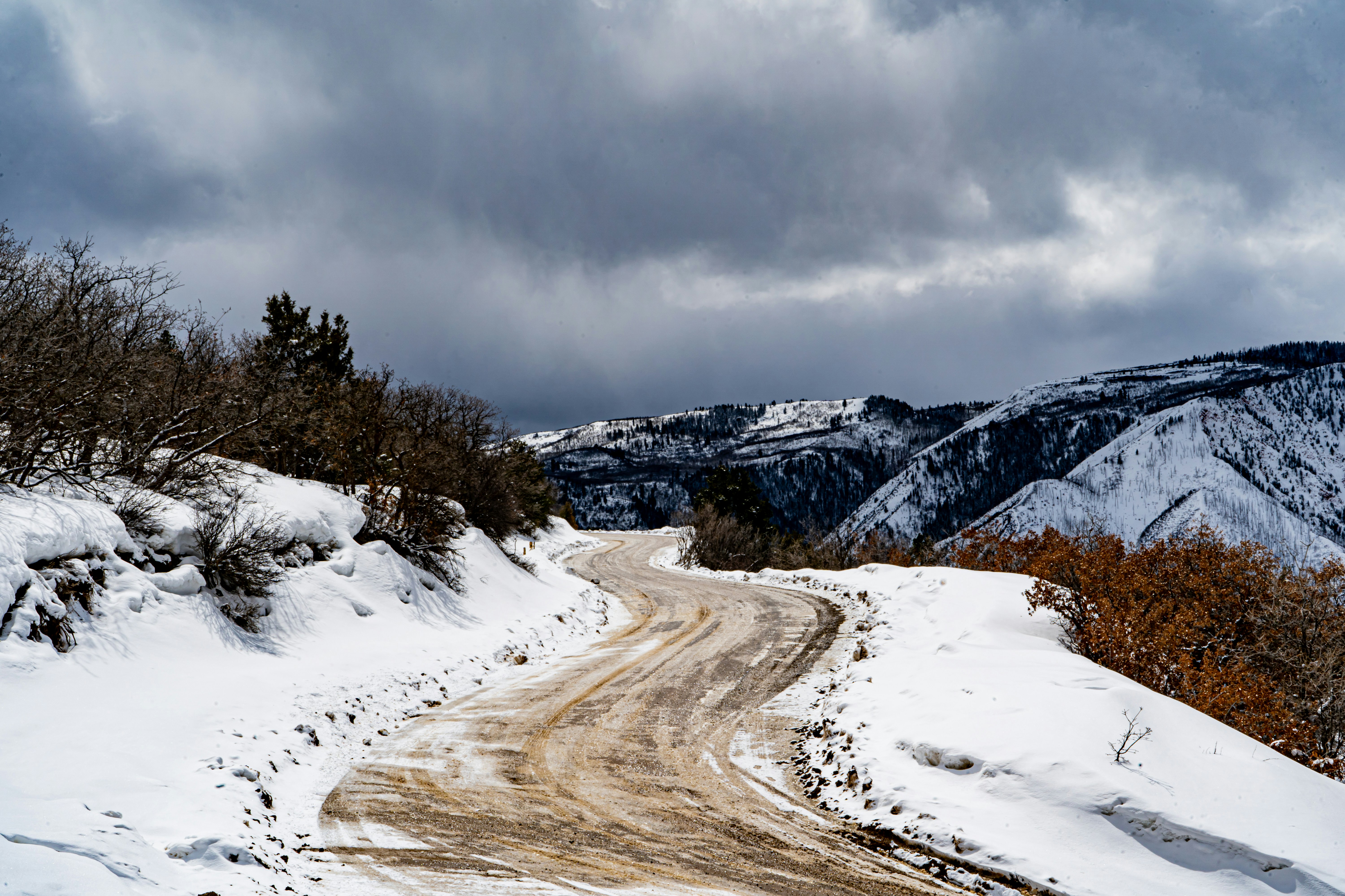 Photo by helmstcp