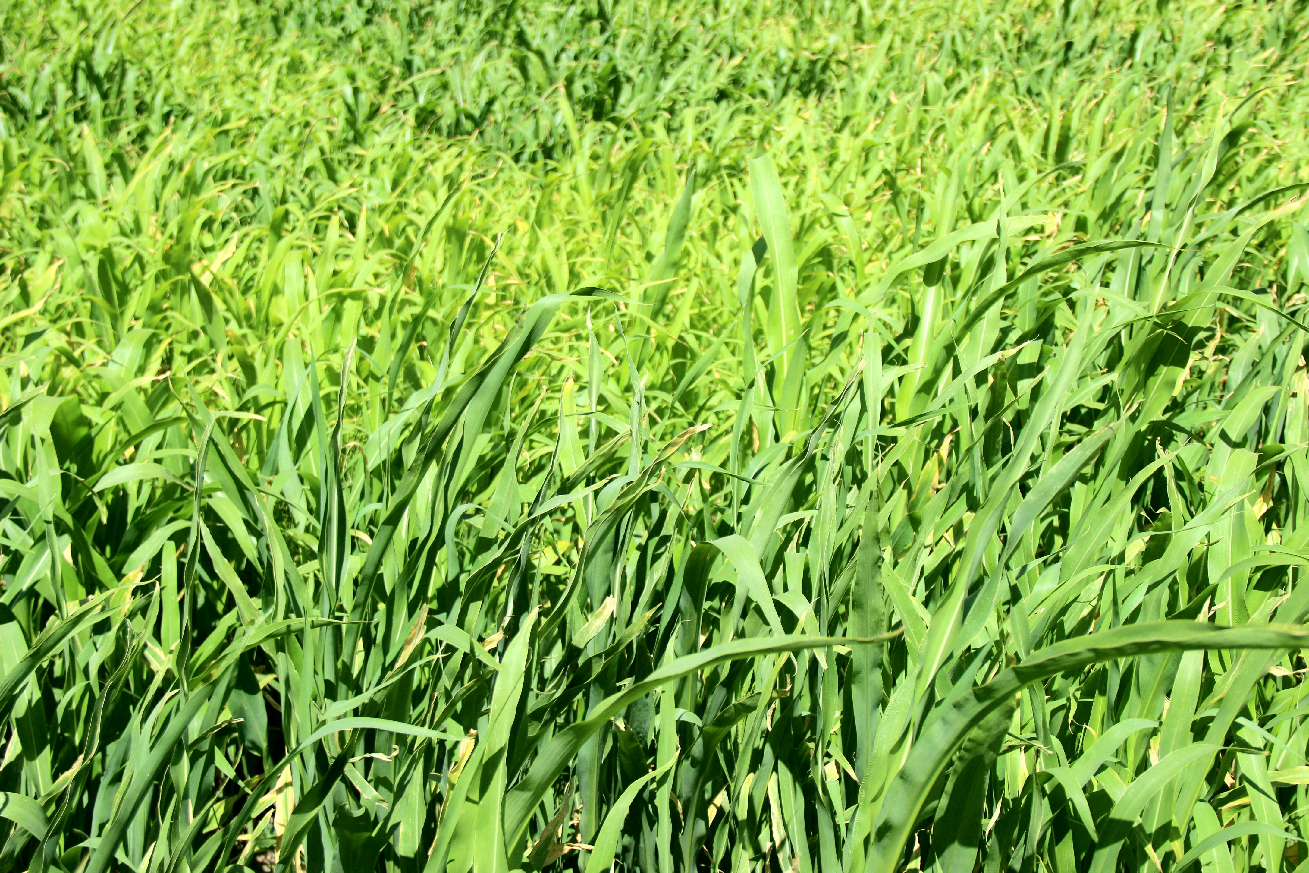 Photo by paris_nature_photo