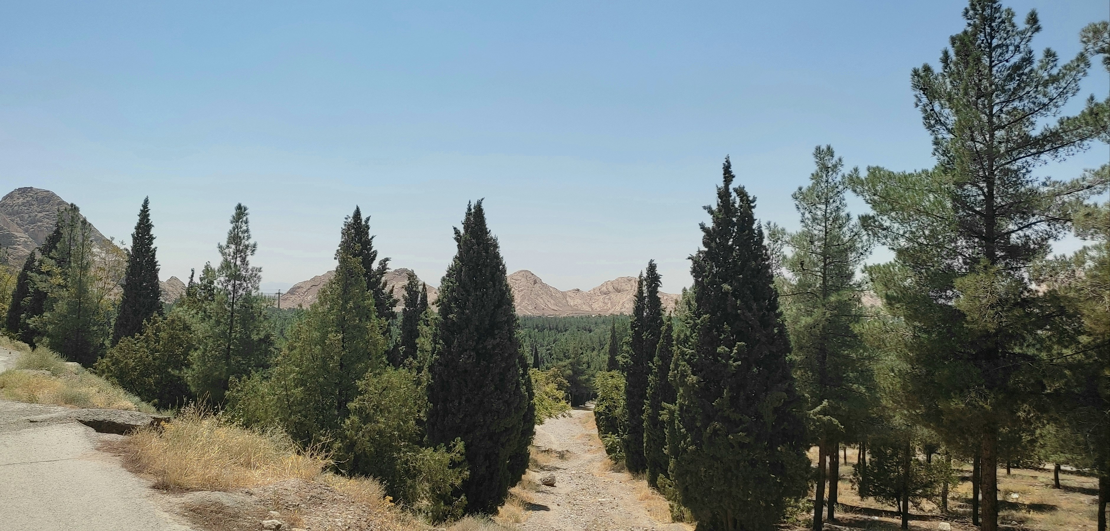 Parque Lineal Los Olivos G.K.
