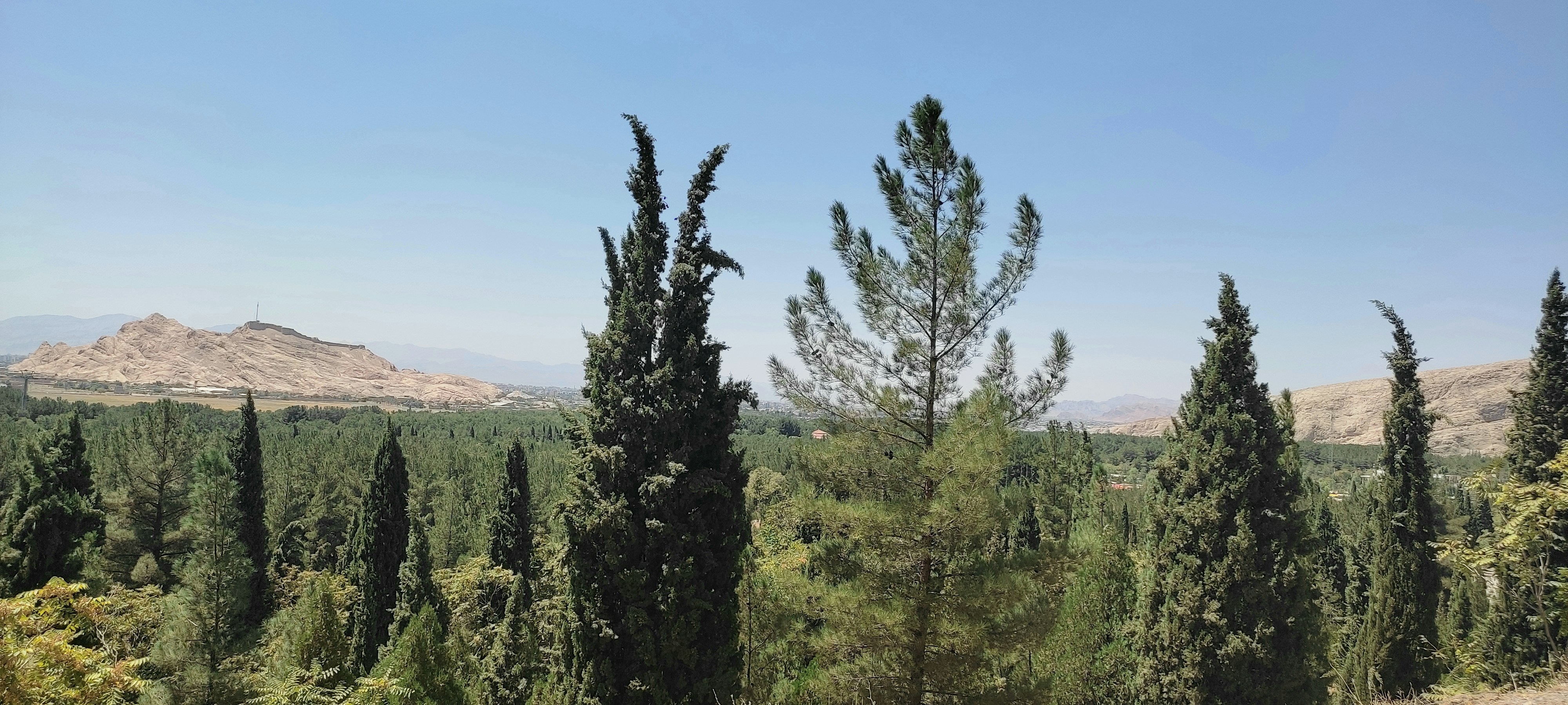 Photo by paris_nature_photo