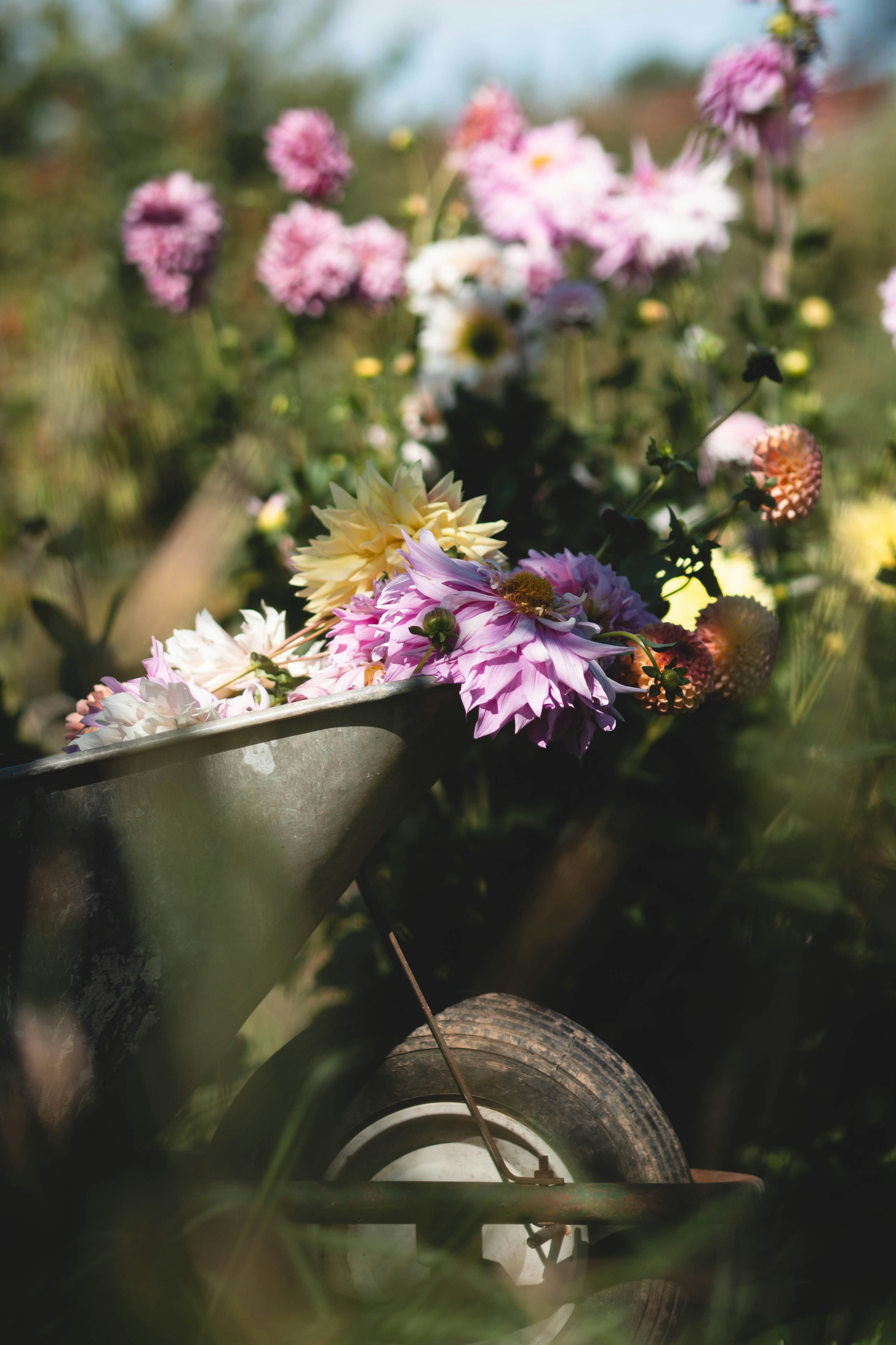 Photo by eileen_kummer