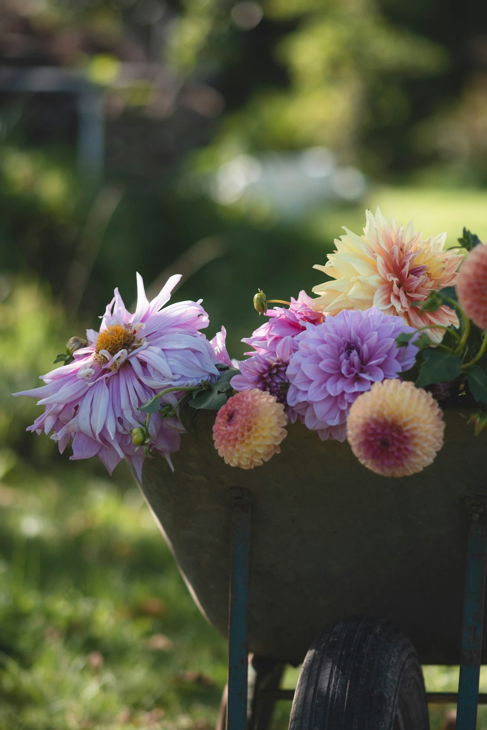 a wheelbarrow filled with lots of flowers sitting in the grass