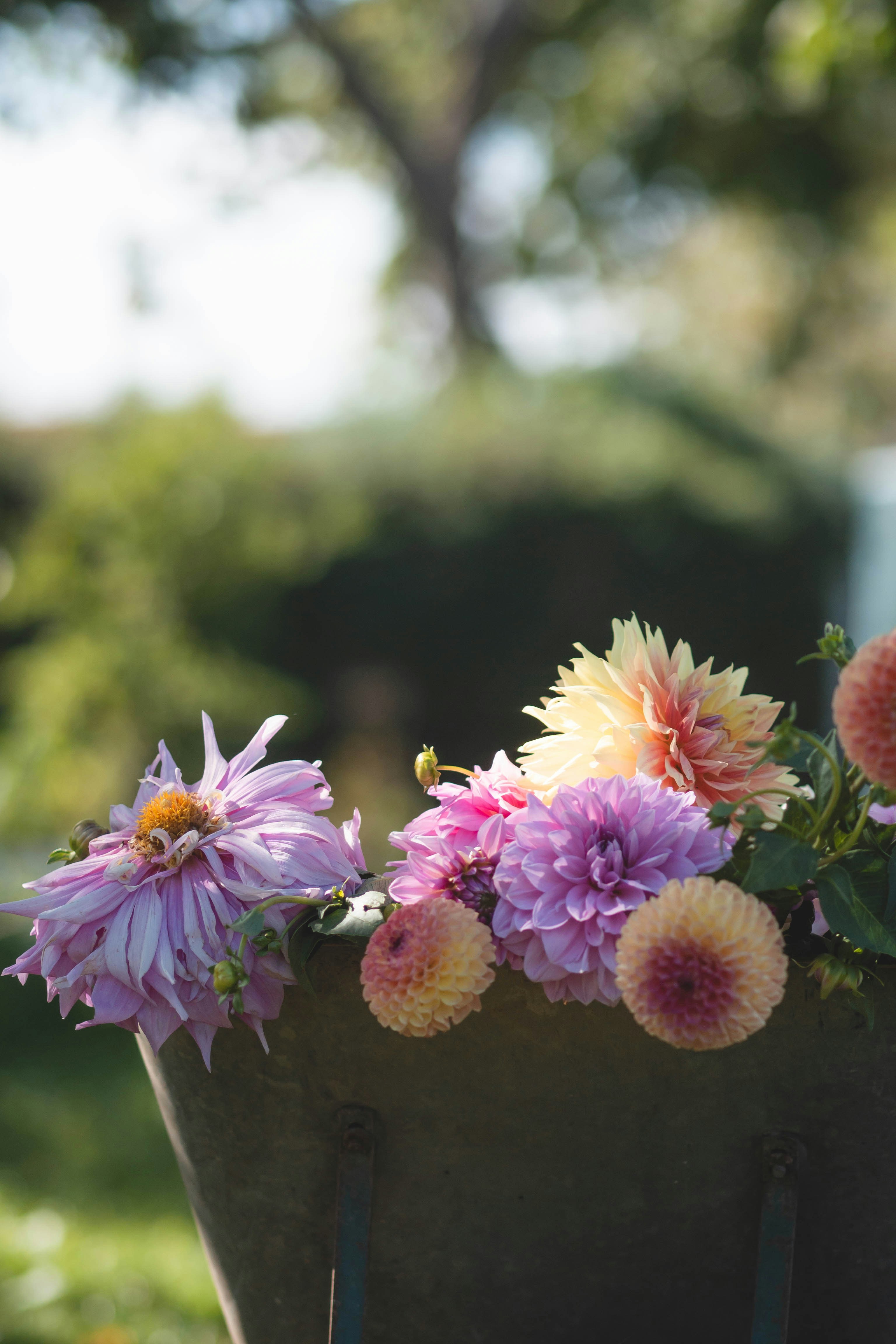 Photo by eileen_kummer