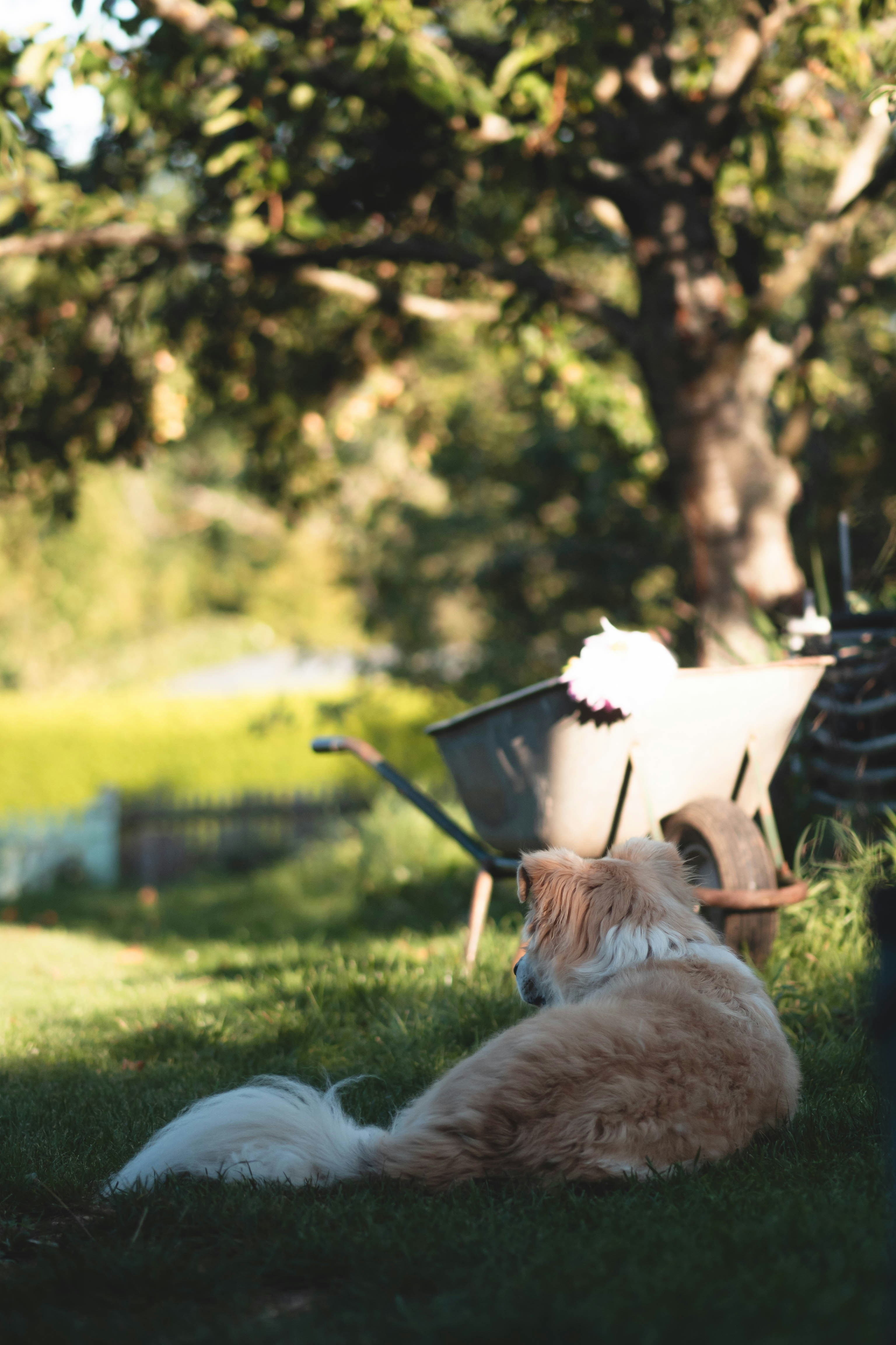 Photo by eileen_kummer