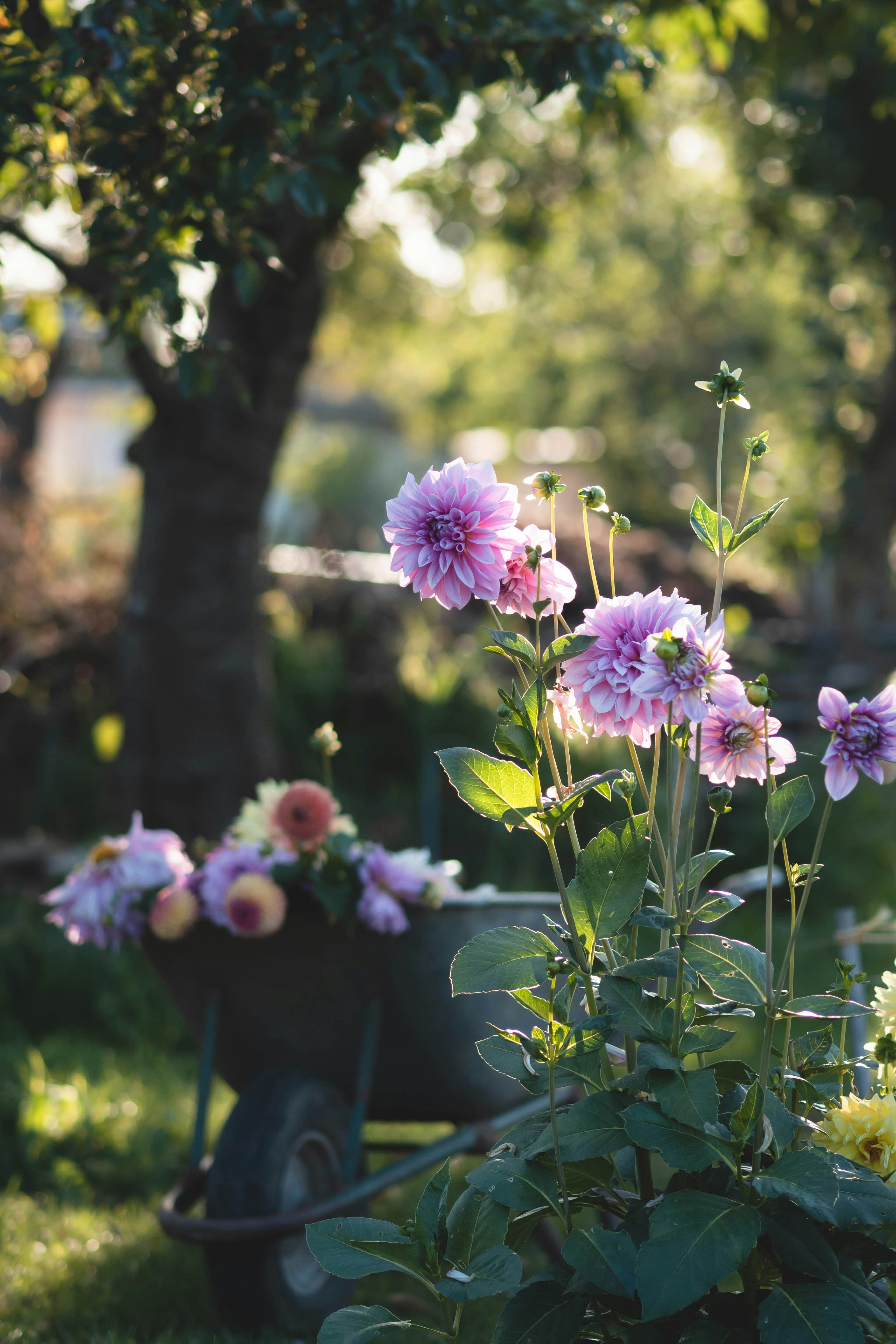 Photo by eileen_kummer