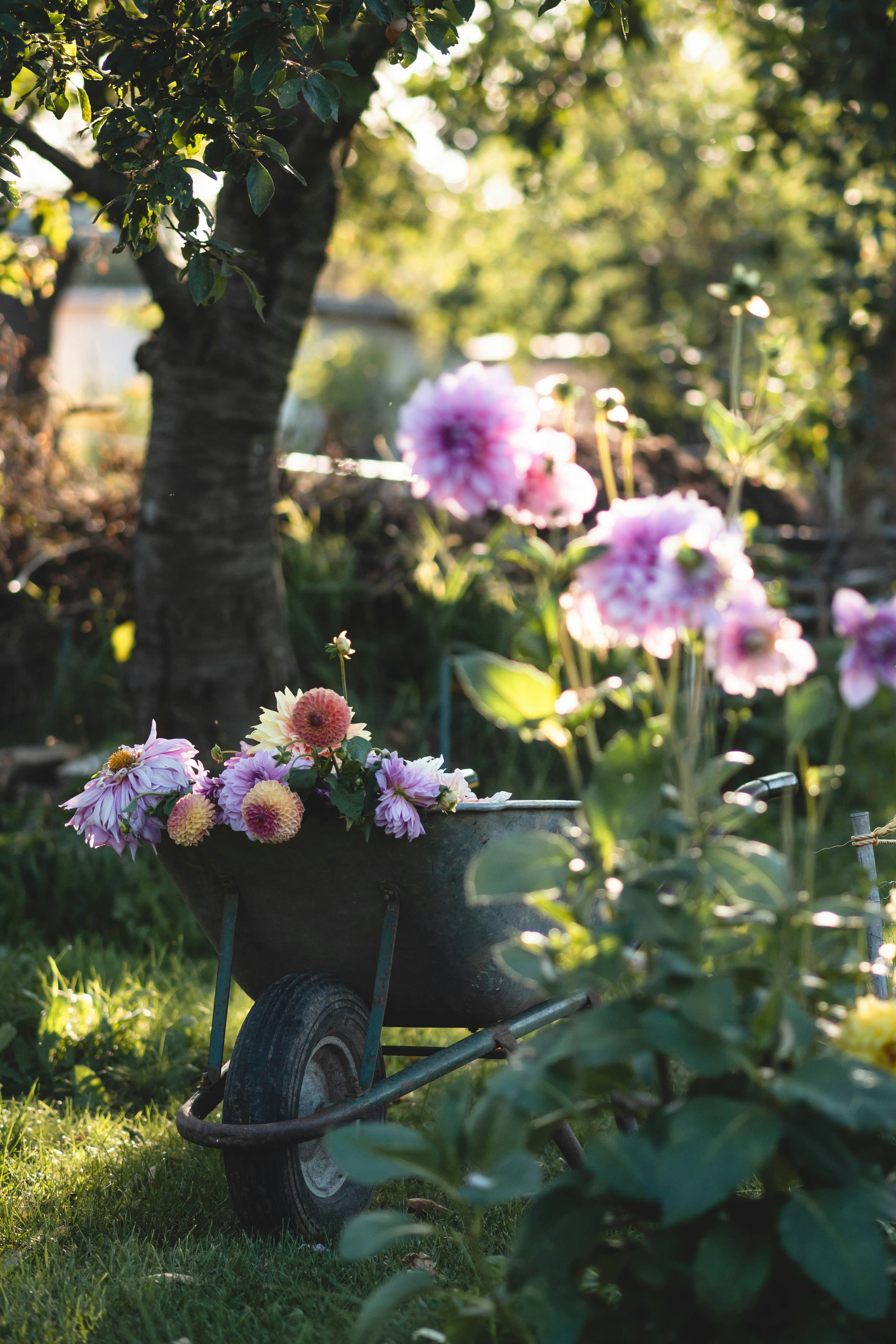 Photo by eileen_kummer