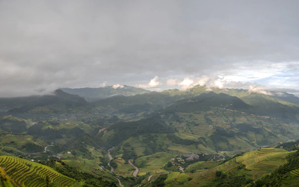 A winding path through rice terraces with a backdrop of misty mountains under a bright blue sky.