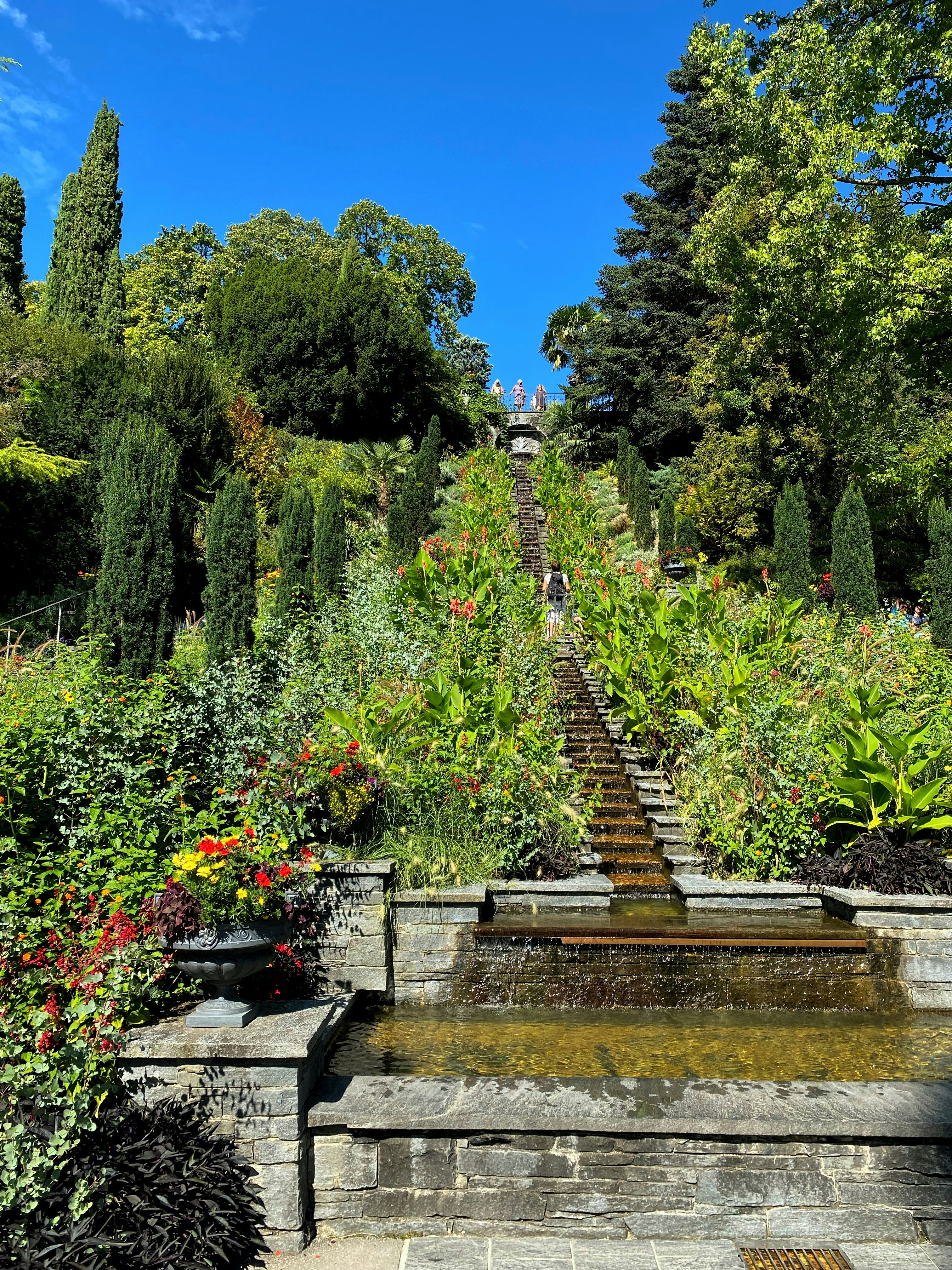 Beginner’s Guide to Rainscaping: Turn Stormwater into Beauty