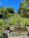 A garden landscape features a cascade of water descending a series of stone steps, surrounded by vibrant greenery and colorful flowers. Tall, lush trees frame the scene against a bright blue sky, creating a serene and picturesque environment.