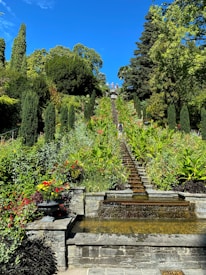 A garden landscape features a cascade of water descending a series of stone steps, surrounded by vibrant greenery and colorful flowers. Tall, lush trees frame the scene against a bright blue sky, creating a serene and picturesque environment.