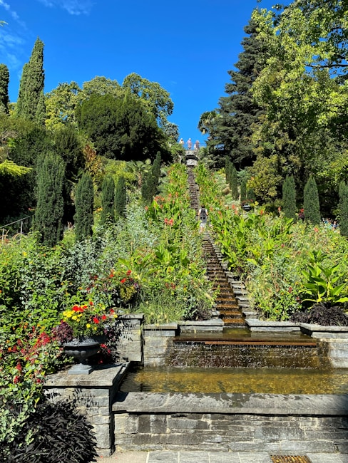 A garden landscape features a cascade of water descending a series of stone steps, surrounded by vibrant greenery and colorful flowers. Tall, lush trees frame the scene against a bright blue sky, creating a serene and picturesque environment.