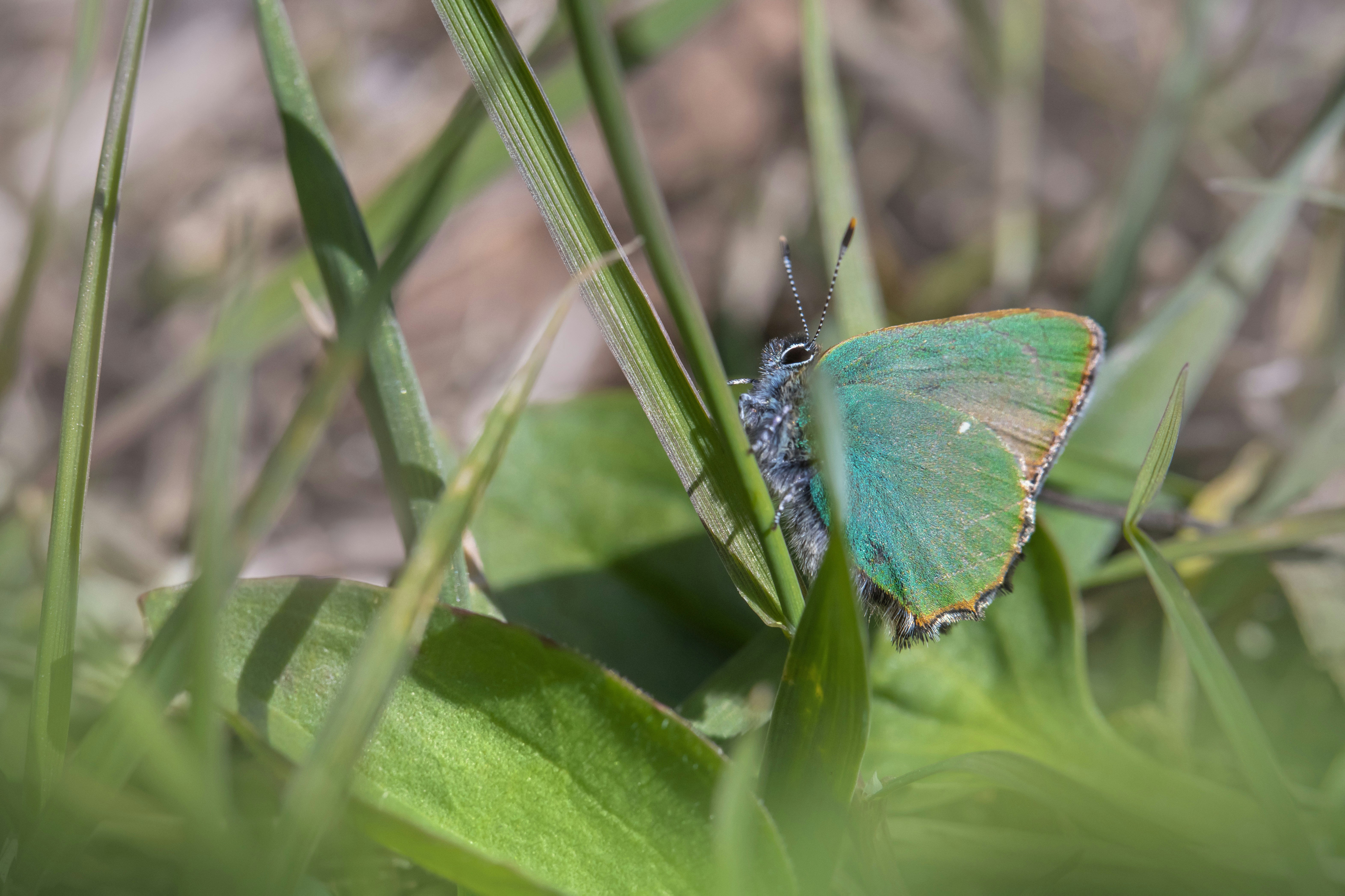 Photo by erik_karits