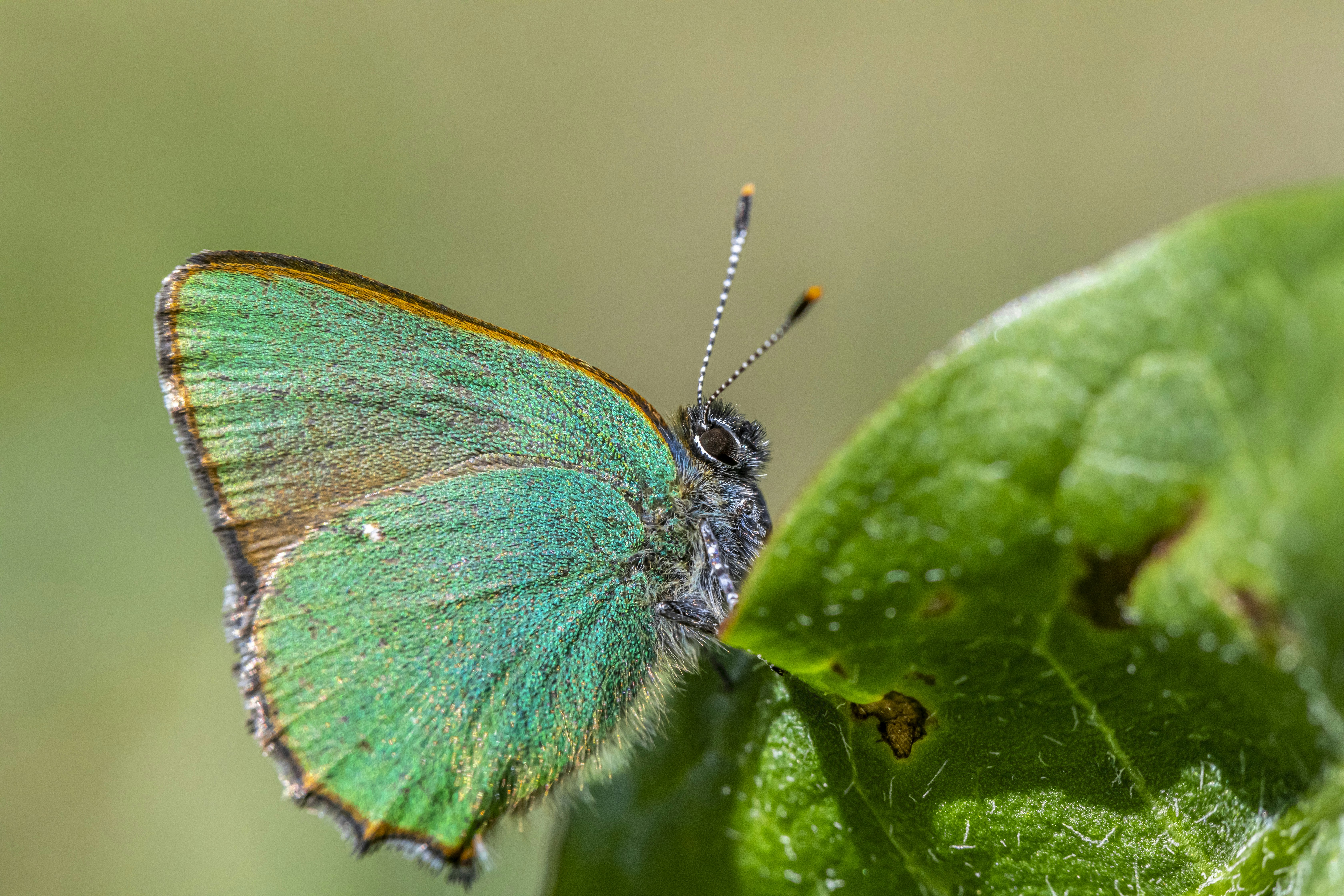 Photo by erik_karits