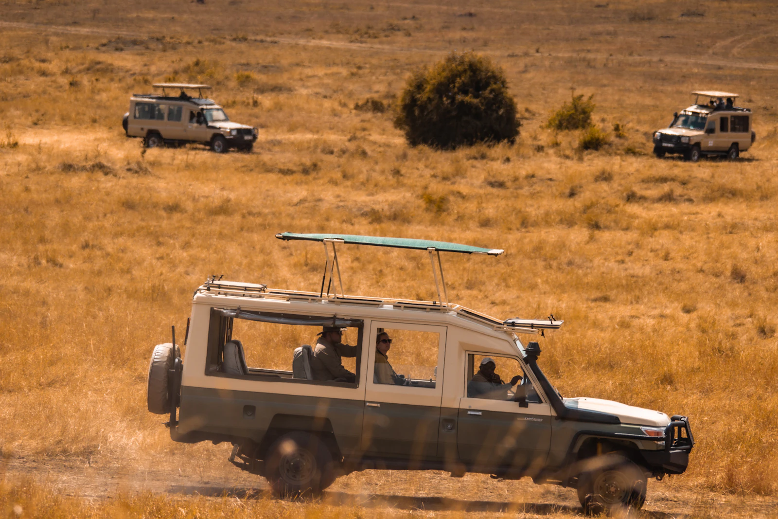 The olive-khaki Land Cruiser at speed across golden grassland, roof hatch open