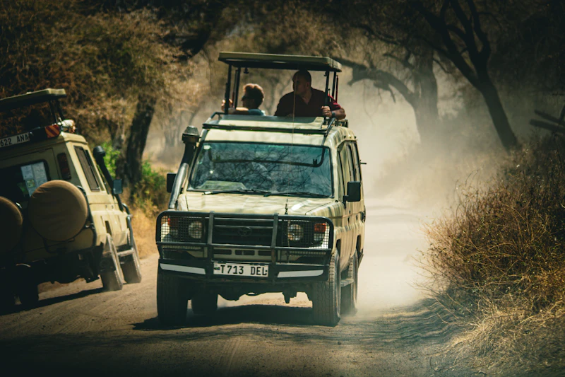 A safari vehicle with passengers standing through the pop-top roof, dust trailing on a Serengeti track