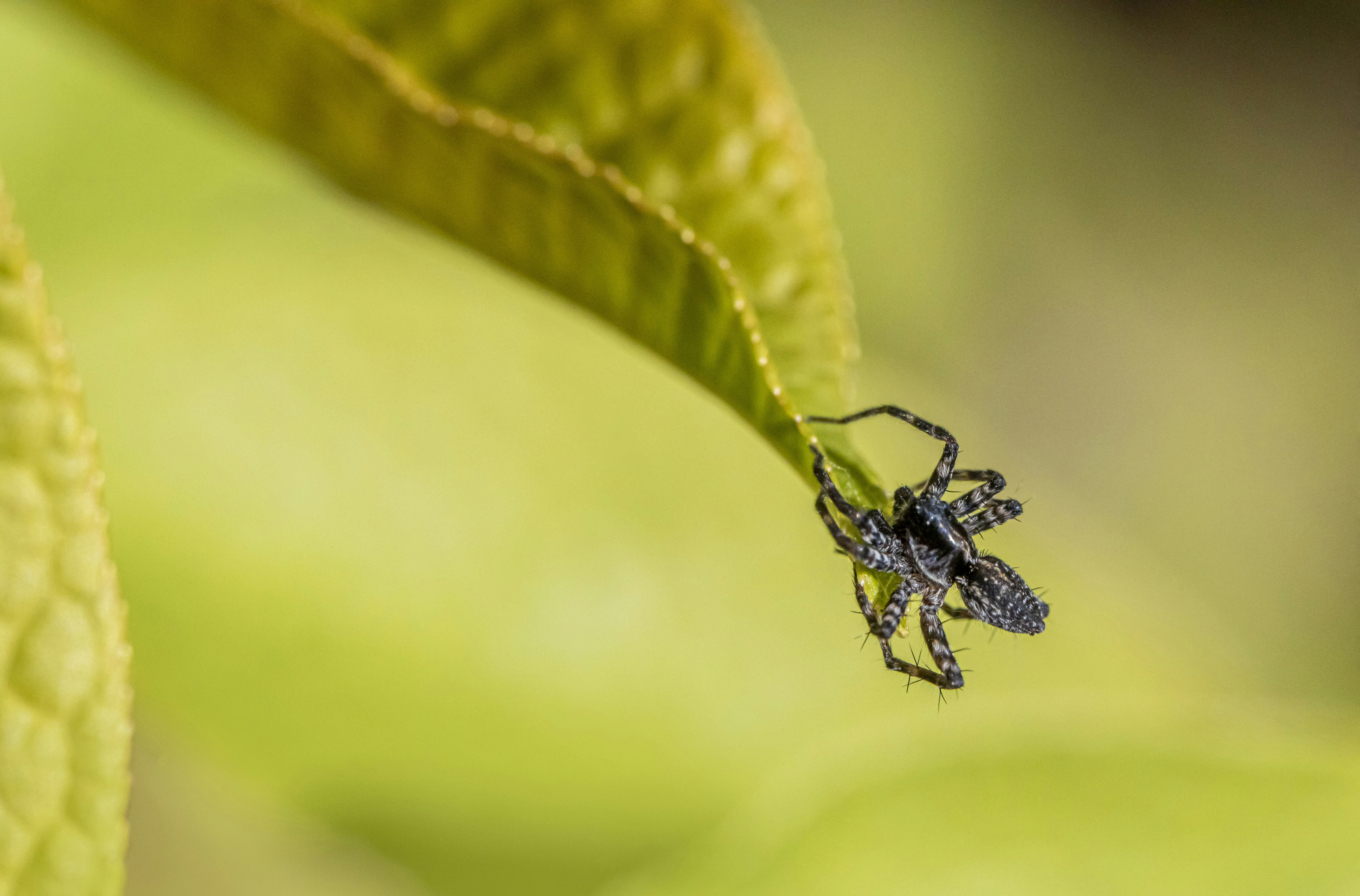 Photo by erik_karits