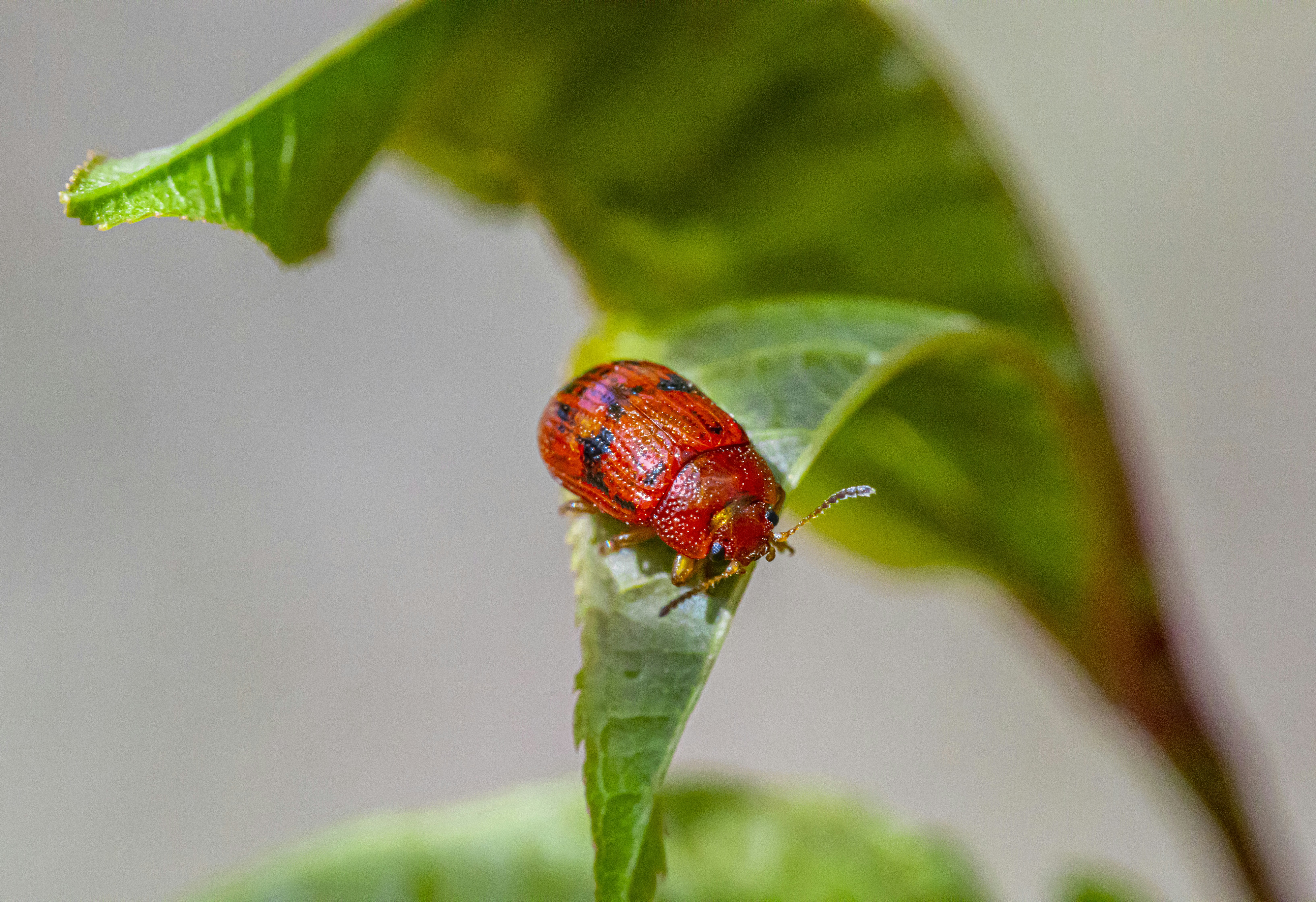 Photo by erik_karits