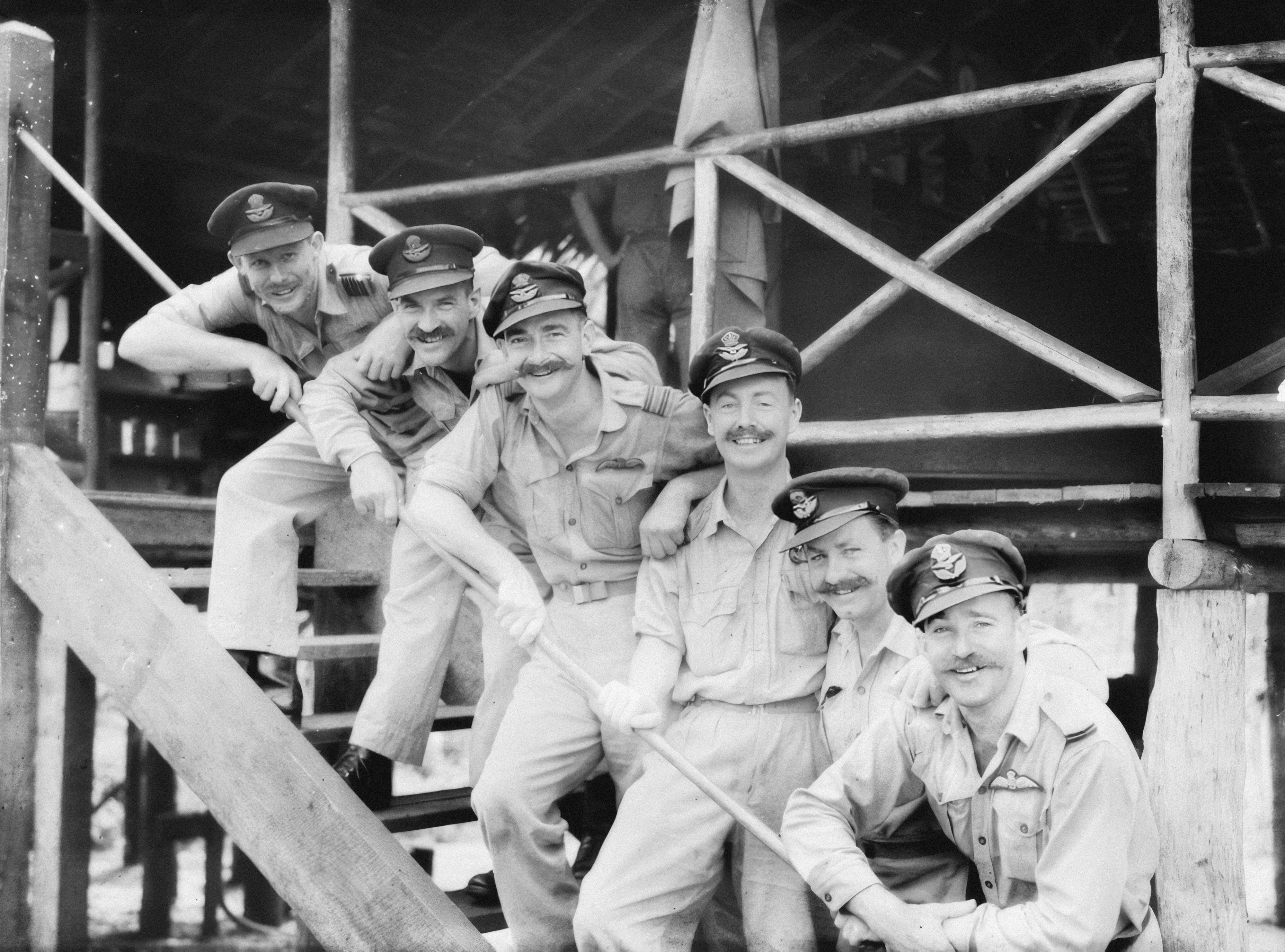 national baseball teams celebrating victory dugout excitement