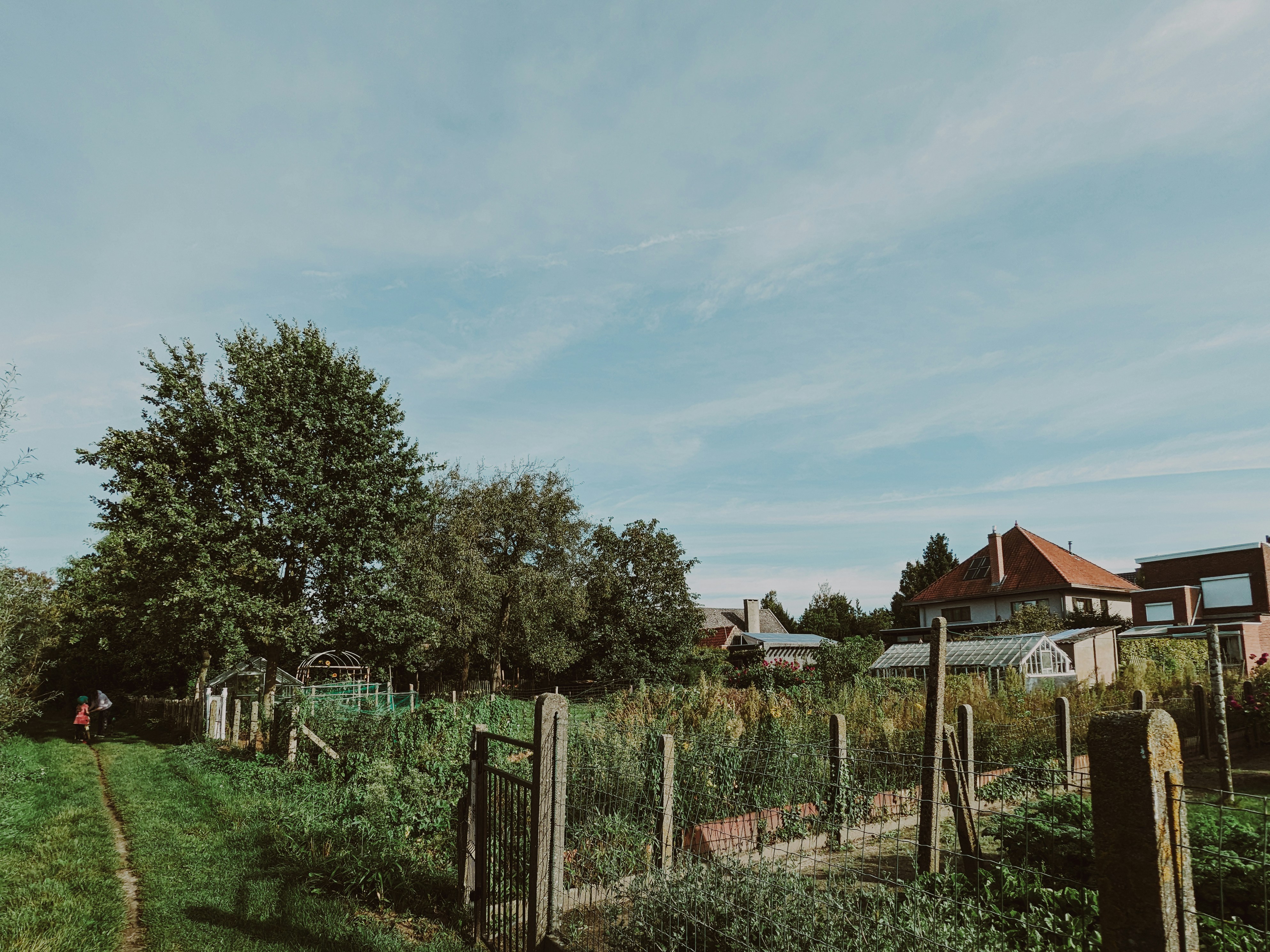A rural landscape featuring a clear sky with a few clouds. A dirt path stretches alongside a fenced garden area abundant with various plants and vegetation. Tall trees border the garden. Several houses with red and brown roofs are visible in the background, surrounded by more greenery.