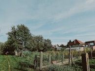 A rural landscape featuring a clear sky with a few clouds. A dirt path stretches alongside a fenced garden area abundant with various plants and vegetation. Tall trees border the garden. Several houses with red and brown roofs are visible in the background, surrounded by more greenery.