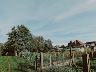 A rural landscape featuring a clear sky with a few clouds. A dirt path stretches alongside a fenced garden area abundant with various plants and vegetation. Tall trees border the garden. Several houses with red and brown roofs are visible in the background, surrounded by more greenery.