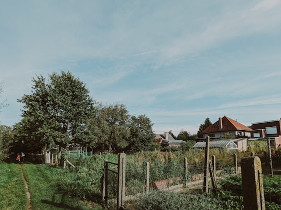 A rural landscape featuring a clear sky with a few clouds. A dirt path stretches alongside a fenced garden area abundant with various plants and vegetation. Tall trees border the garden. Several houses with red and brown roofs are visible in the background, surrounded by more greenery.