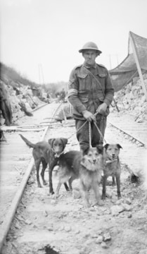 A soldier in historical military attire, complete with a helmet, stands on a railroad track holding leashes attached to three dogs. The scene appears to be in a wartime setting, with piles of debris and rough terrain visible. The background shows additional soldiers and large tents or structures.