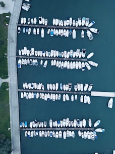 a marina filled with lots of white boats