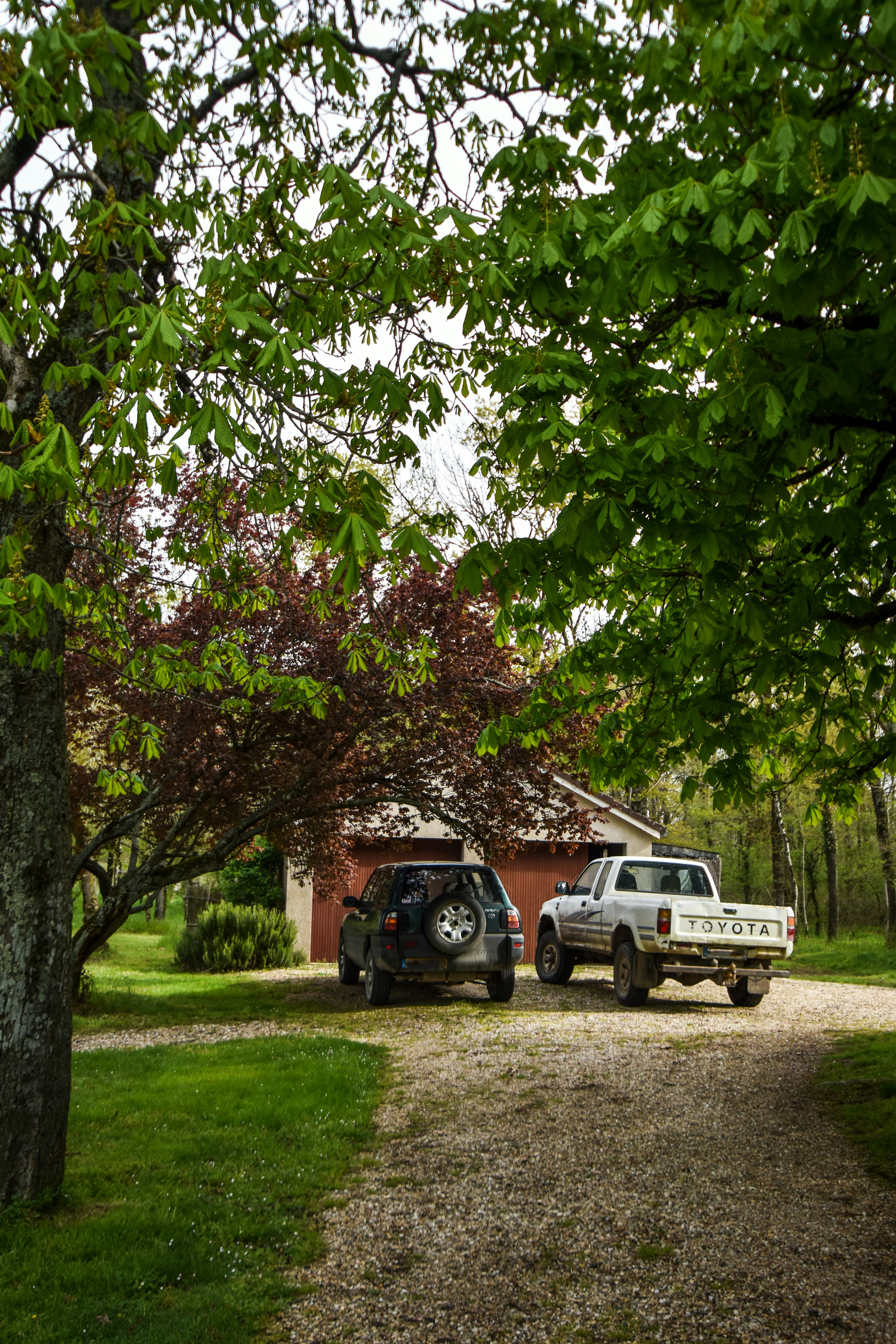 Photo by gracephotography