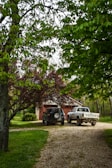 A compacted gravel driveway leading to a cozy garden shed.