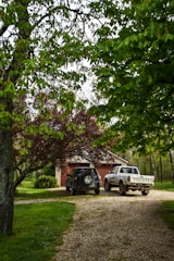 A neat driveway cleared of old furniture and debris, ready for use.