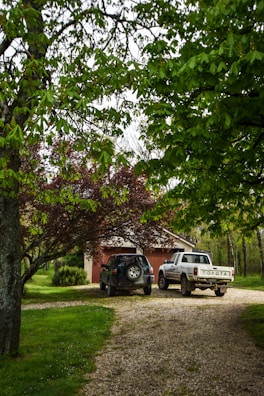 A compacted gravel driveway leading to a cozy garden shed.