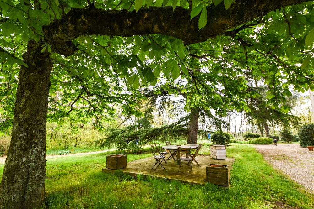 a picnic table under a tree in a park