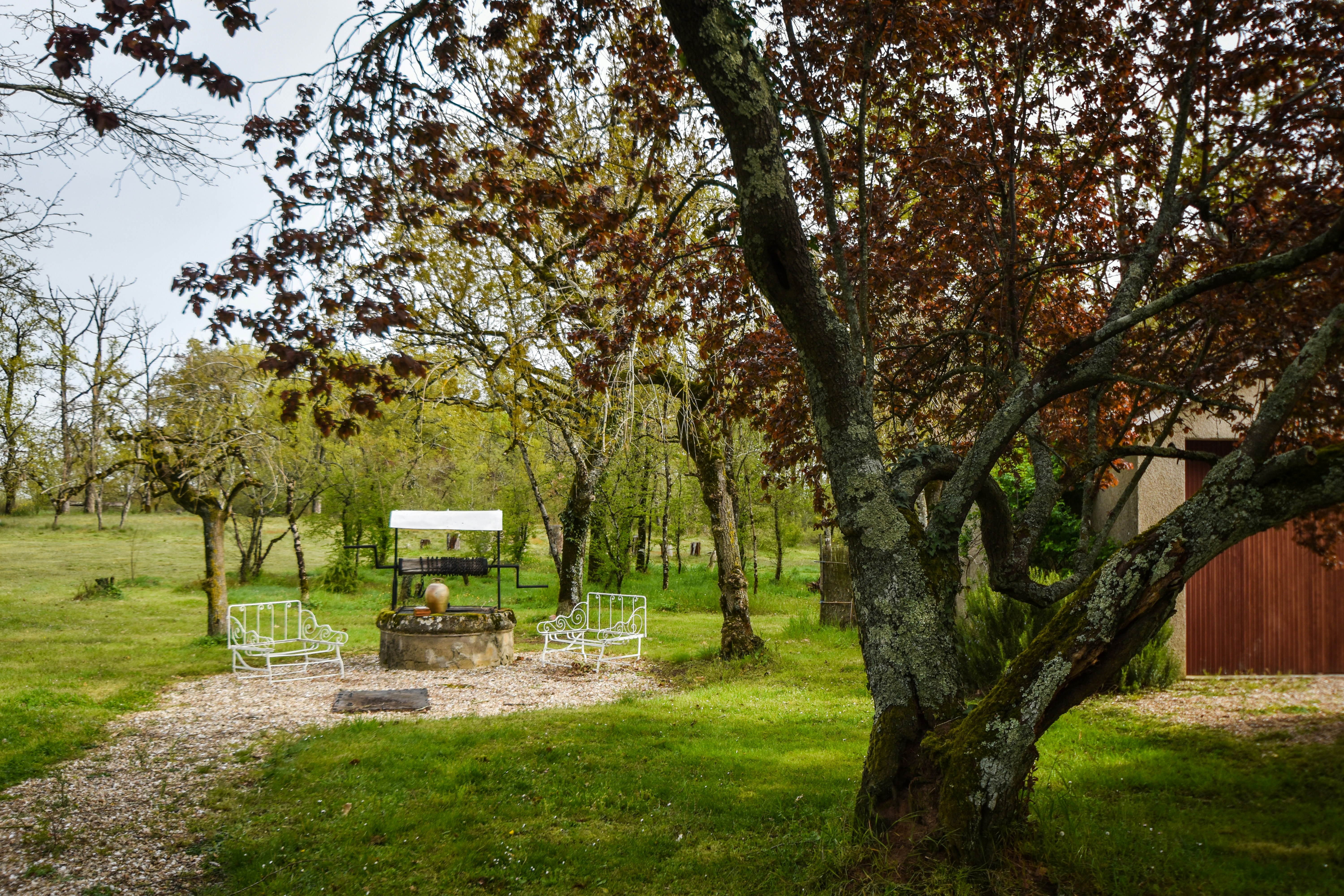 Photo by gracephotography