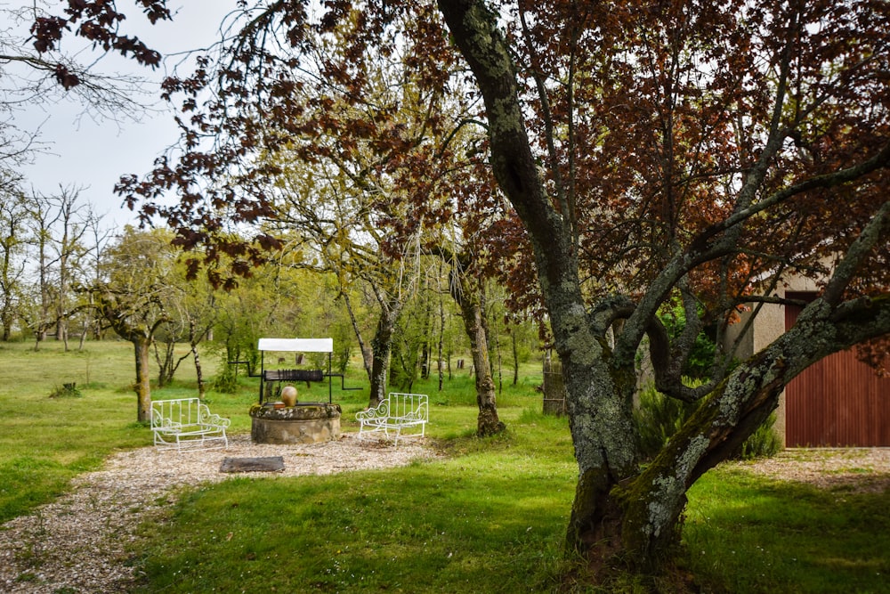 a park with a bench and a fire pit in the middle of it