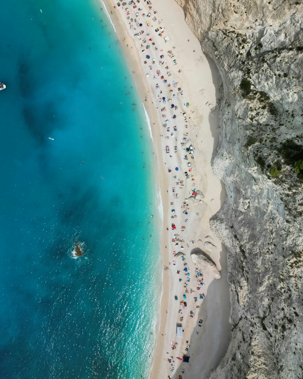 a group of people on a beach near the ocean