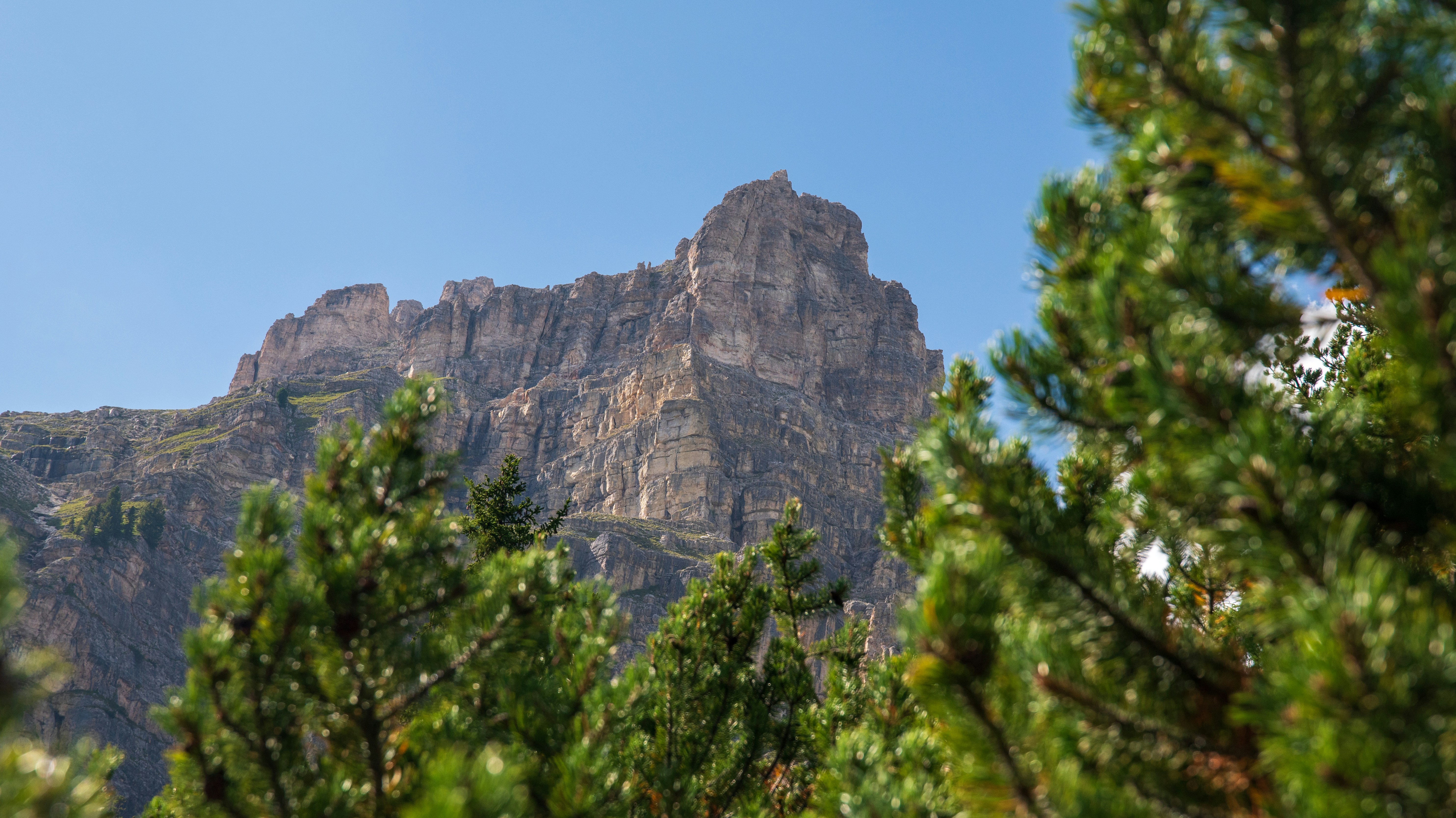 a view of a mountain through the trees
