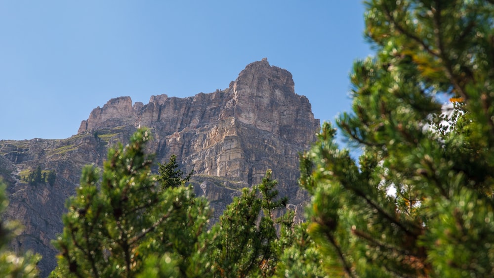 a view of a mountain through the trees