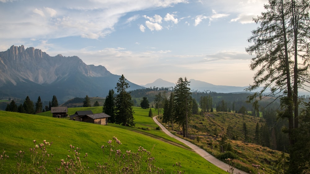 a grassy hill with a house on the top of it