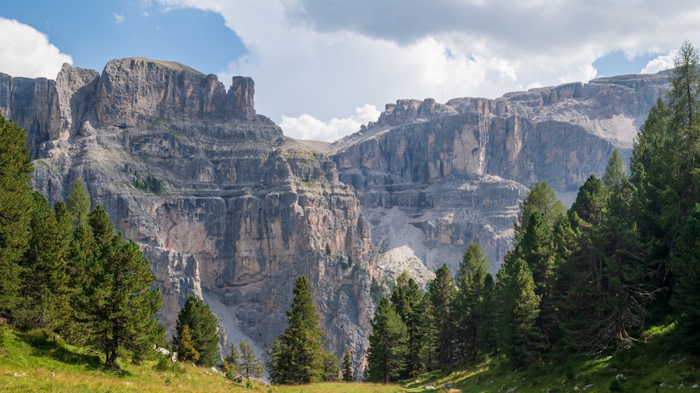 a mountain range with trees and grass in the foreground