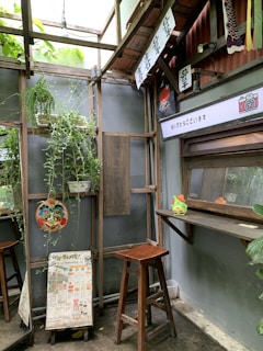 A cozy corner with various kokedamas displayed on wooden shelves.