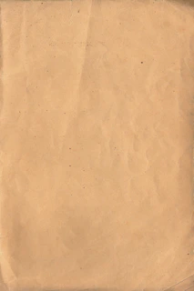 A detailed shot of the textured paper background giving the homepage an authentic aged look