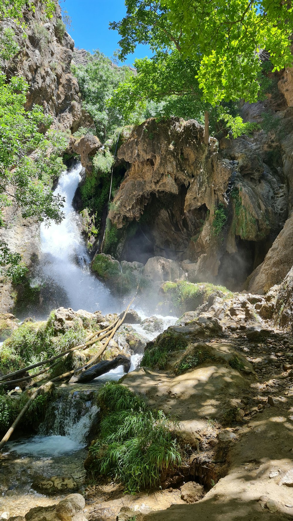 a small waterfall in the middle of a forest