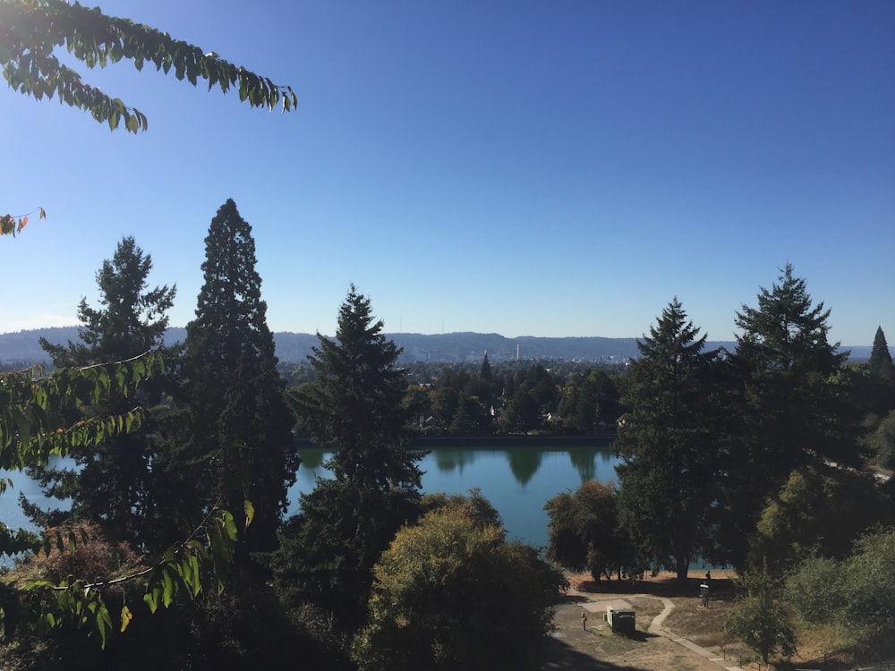 a view of a lake surrounded by trees