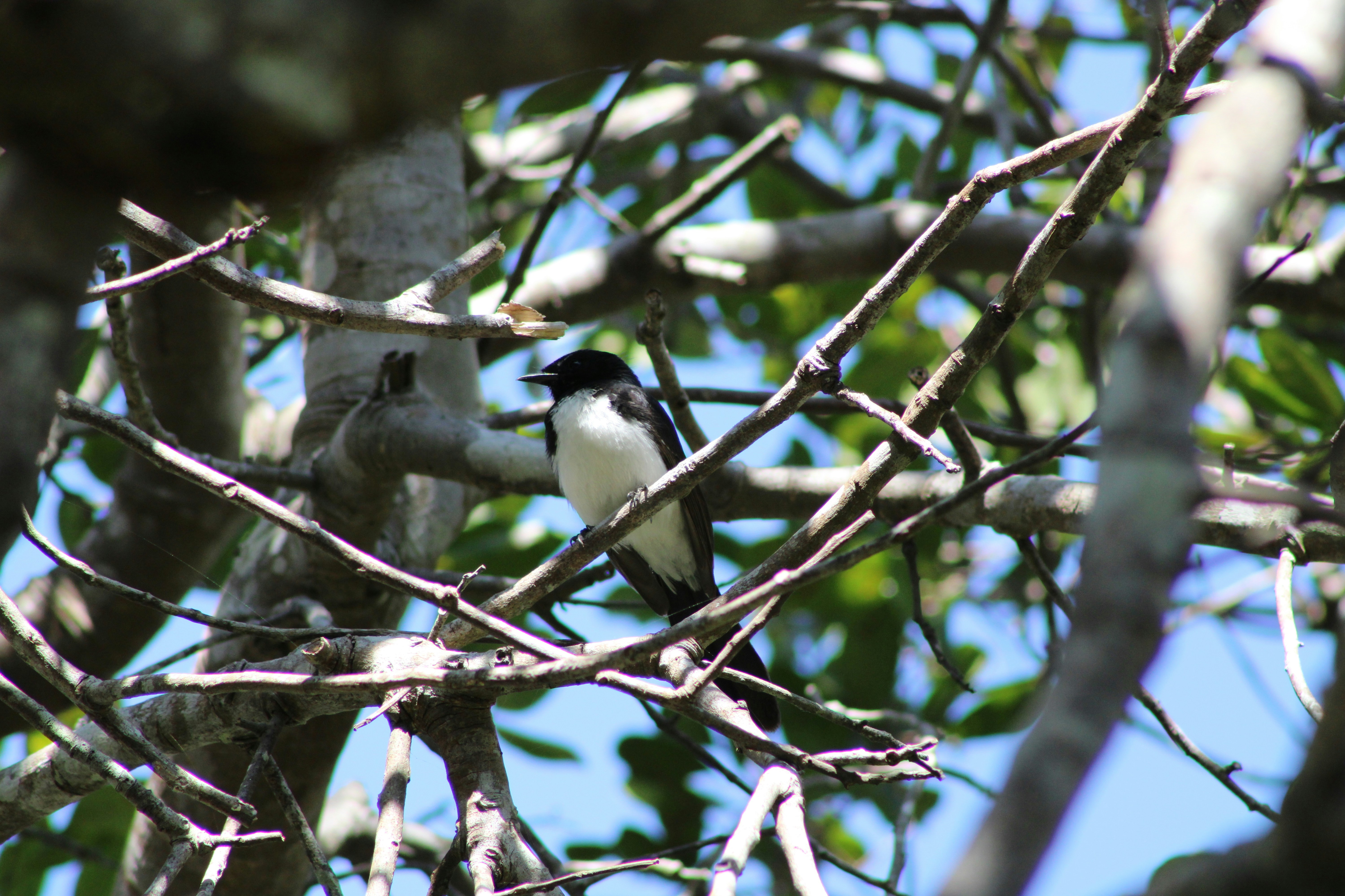 Photo by sweetasphotography