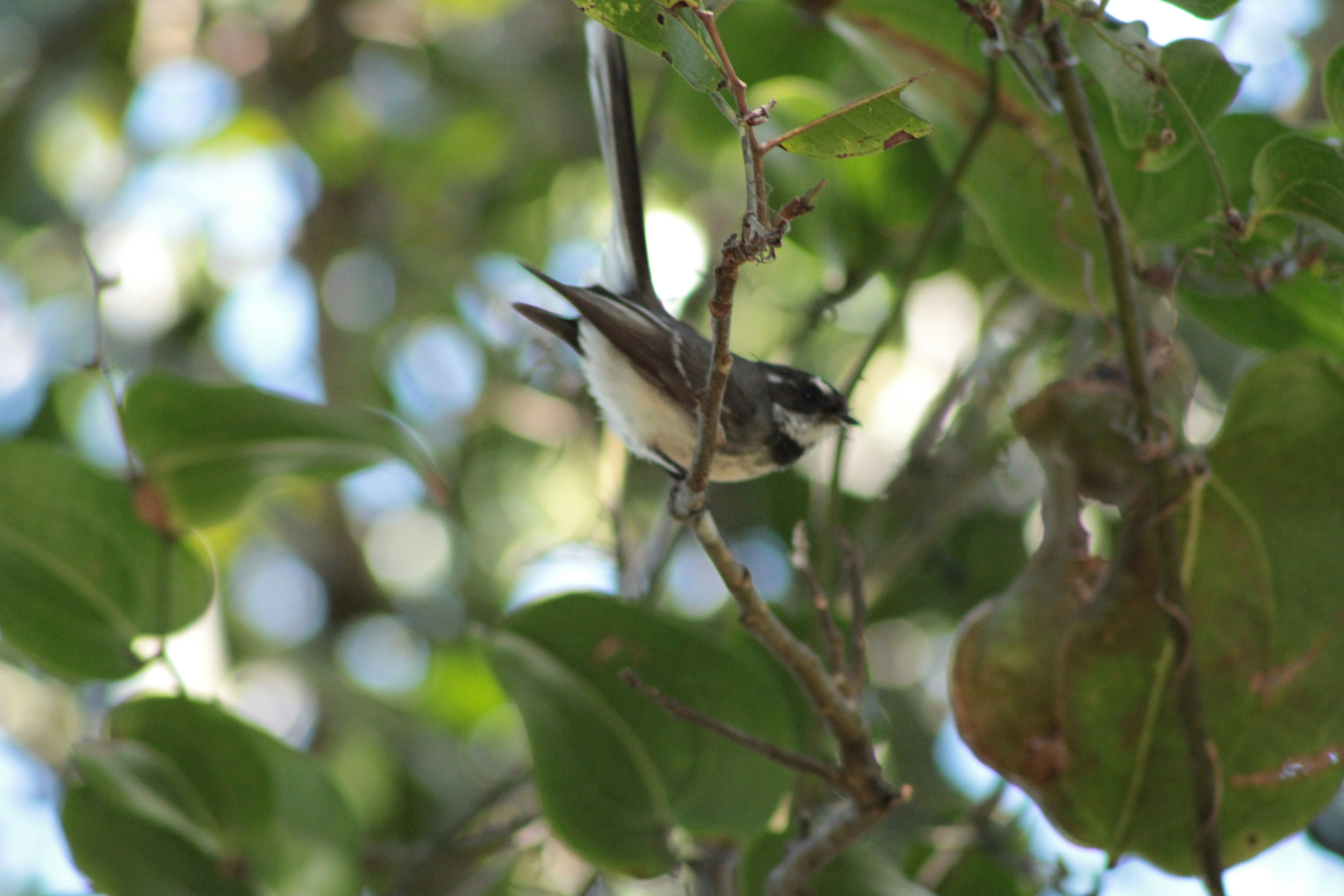 Photo by sweetasphotography