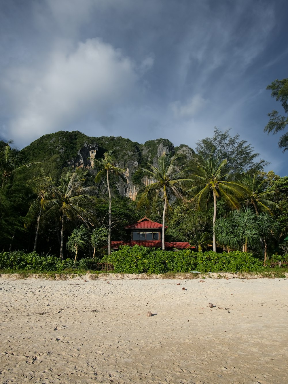 a hut on a beach surrounded by palm trees