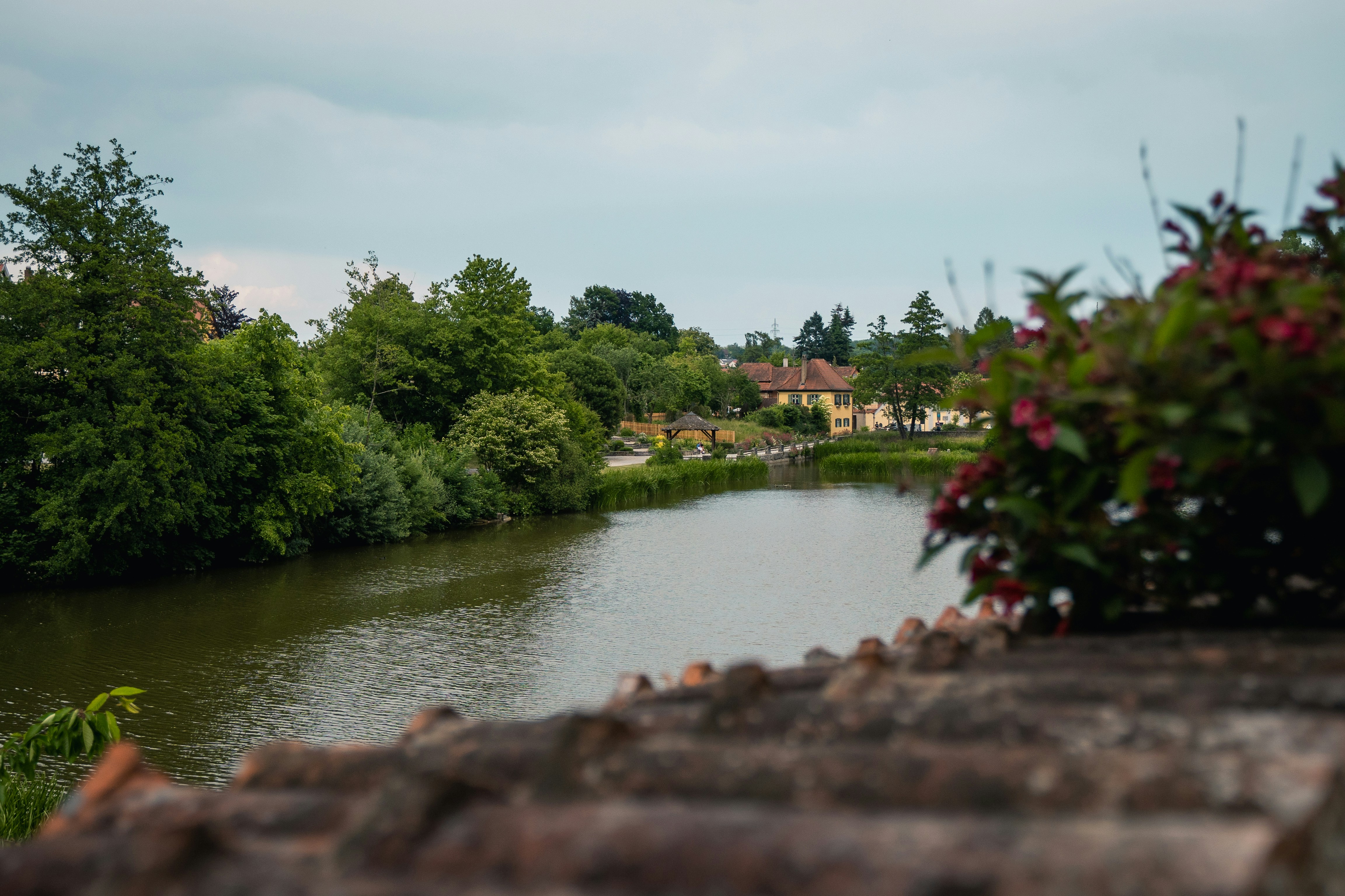 Photo by dominik_kempf